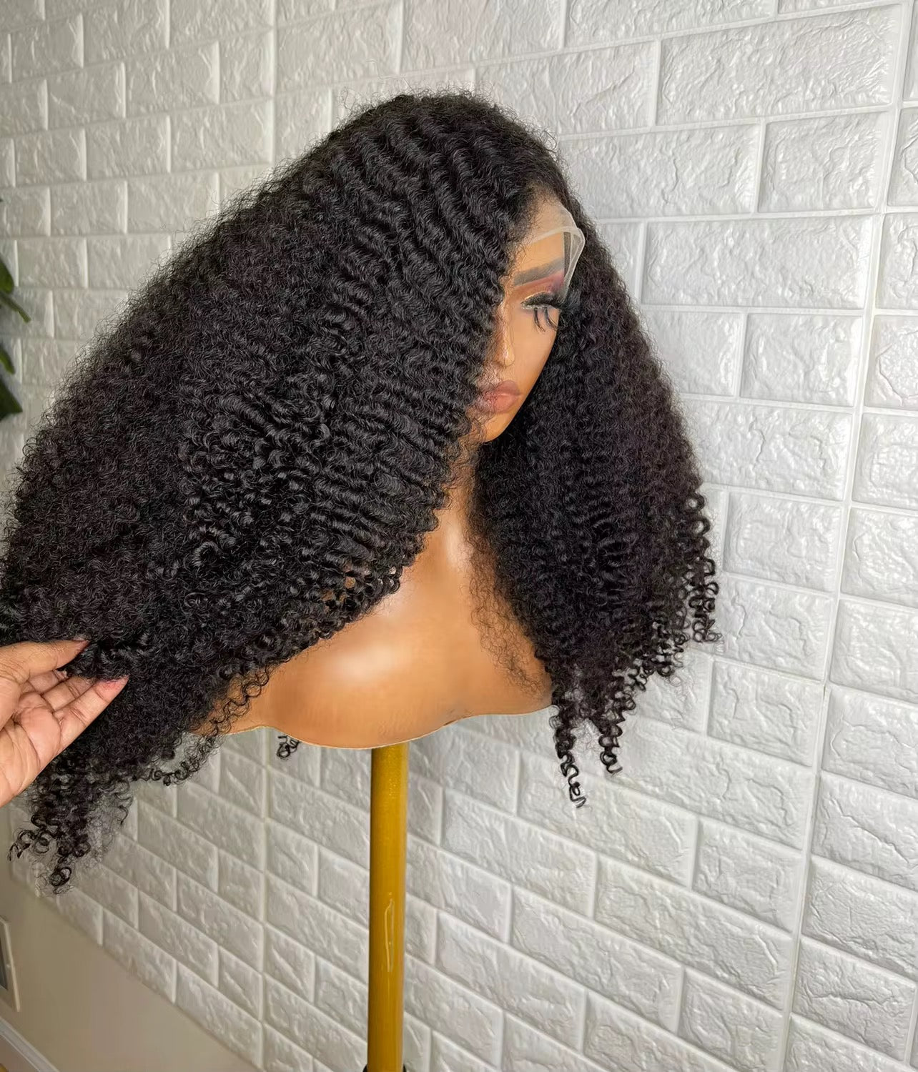Human Hair 13x4 Lace Front Kinky Curly Wig⦁