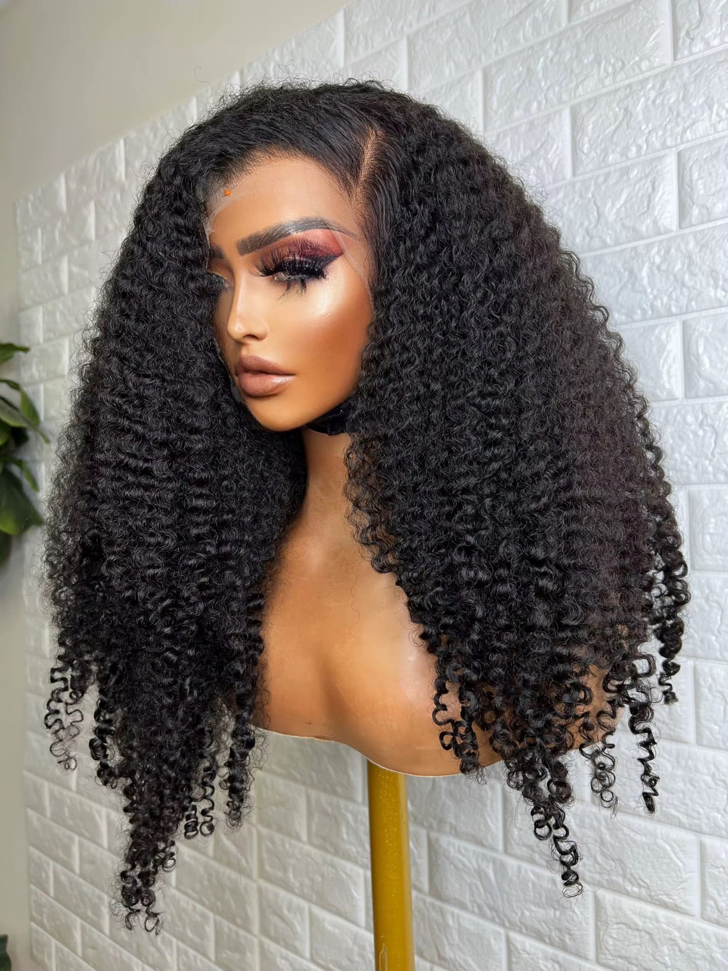 Human Hair 13x4 Lace Front Kinky Curly Wig⦁