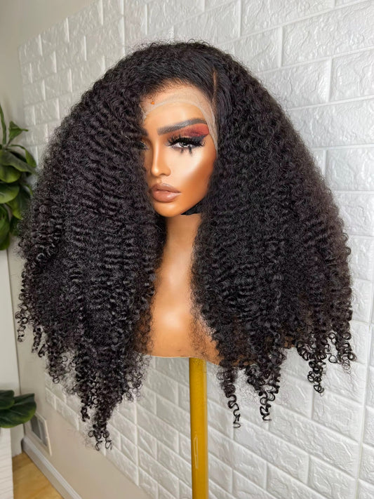 Human Hair 13x4 Lace Front Kinky Curly Wig⦁